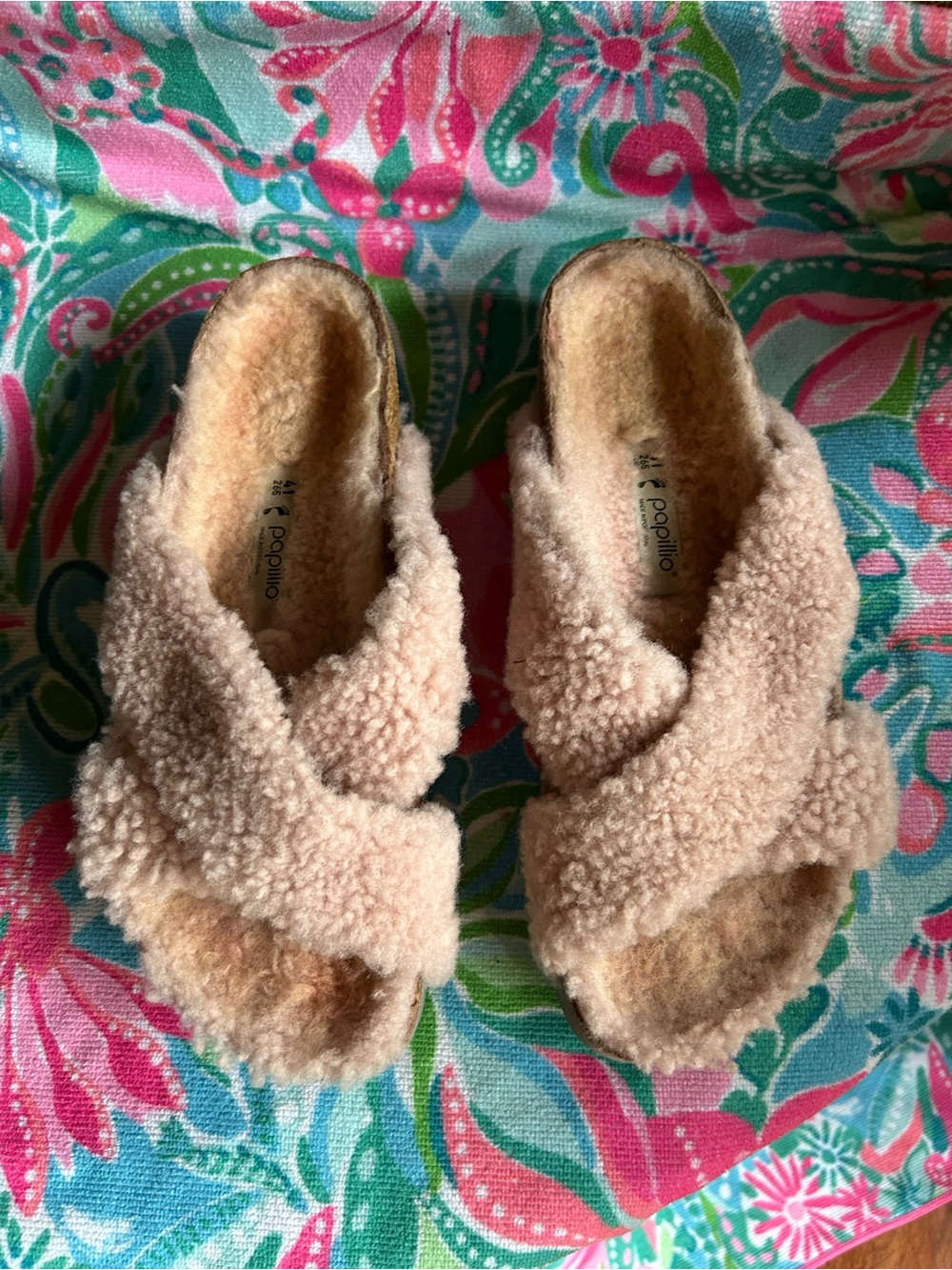 Papillio slides.
